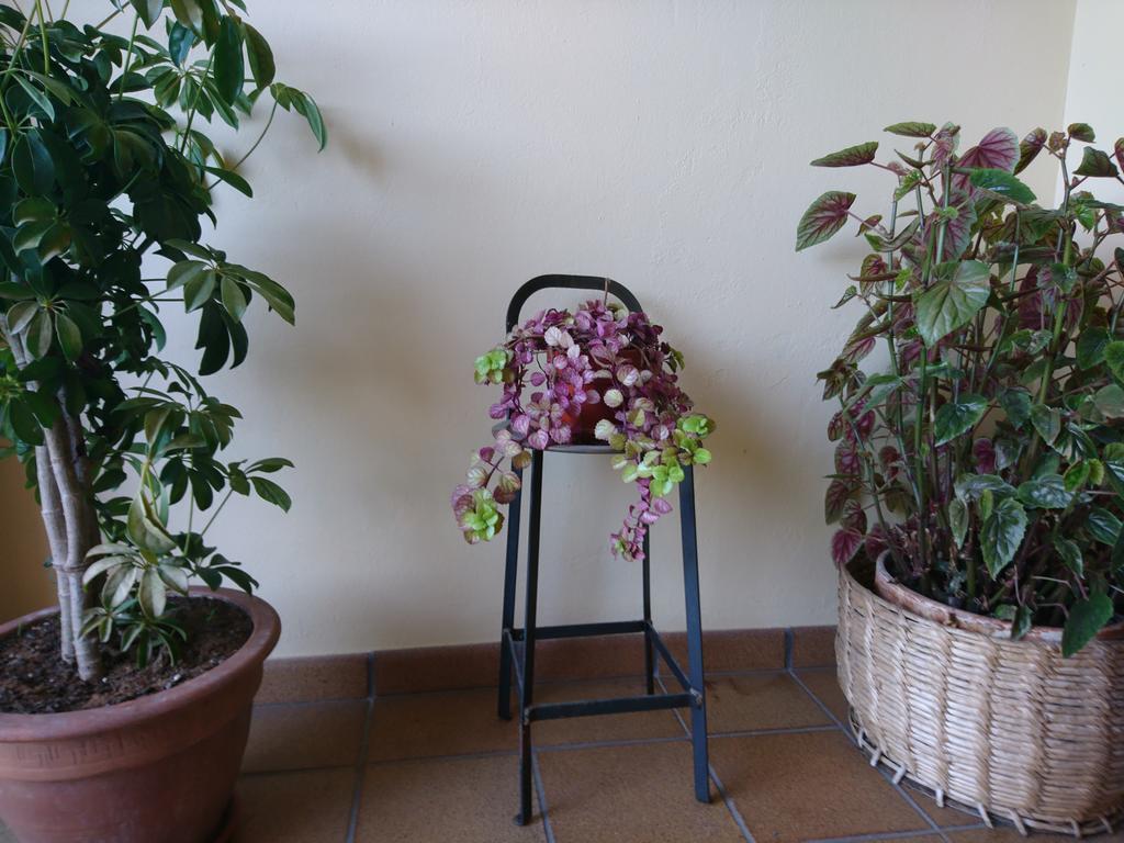 Posada El Jardin Σαντιγιάνα ντελ Μαρ Εξωτερικό φωτογραφία